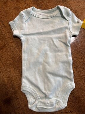 Swaddle Designs Seafoam Baby One-Piece Bodysuit